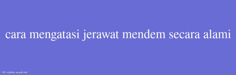 Cara Mengatasi Jerawat Mendem Secara Alami