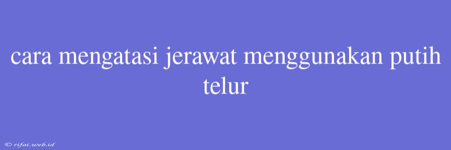 Cara Mengatasi Jerawat Menggunakan Putih Telur