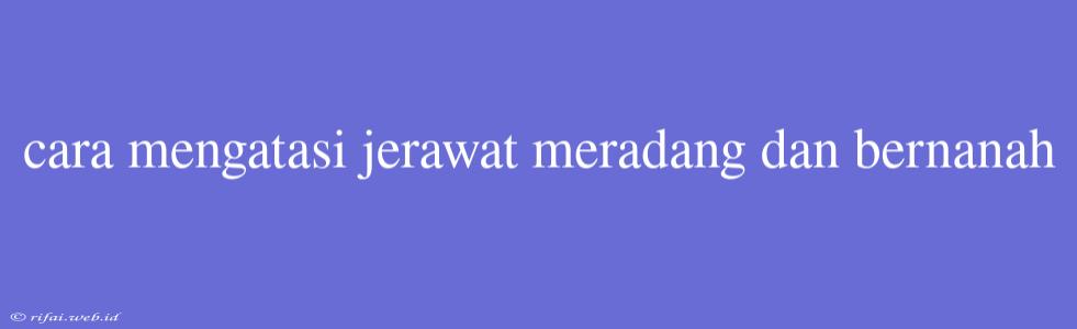 Cara Mengatasi Jerawat Meradang Dan Bernanah