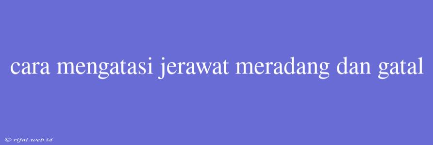 Cara Mengatasi Jerawat Meradang Dan Gatal