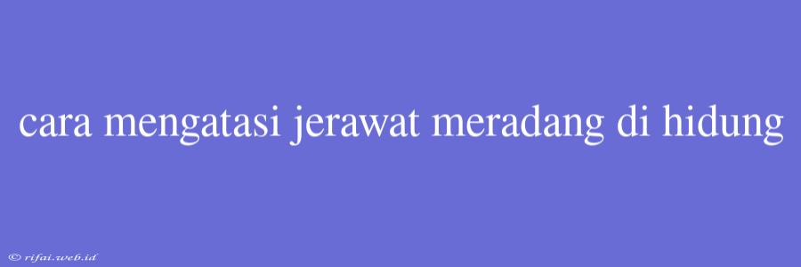 Cara Mengatasi Jerawat Meradang Di Hidung