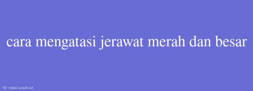 Cara Mengatasi Jerawat Merah Dan Besar