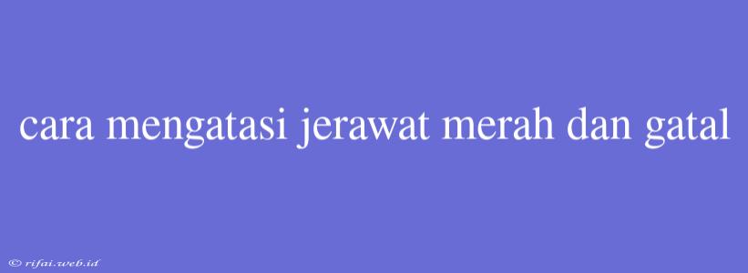 Cara Mengatasi Jerawat Merah Dan Gatal