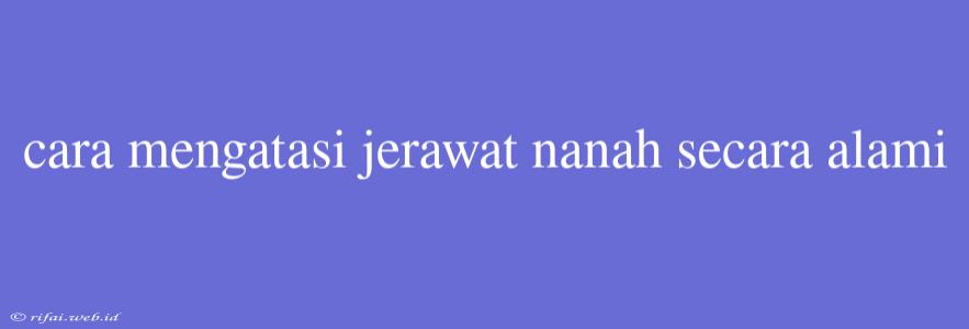 Cara Mengatasi Jerawat Nanah Secara Alami