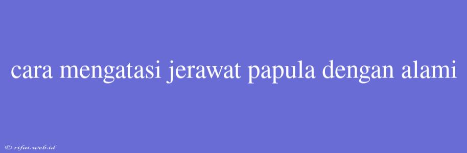 Cara Mengatasi Jerawat Papula Dengan Alami