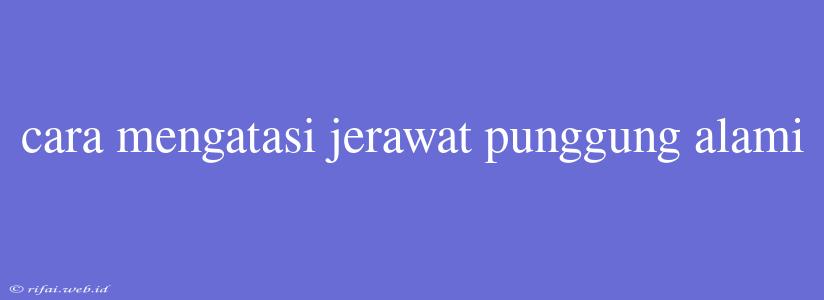 Cara Mengatasi Jerawat Punggung Alami