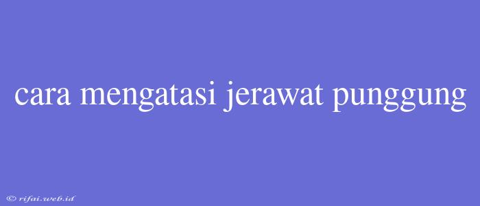 Cara Mengatasi Jerawat Punggung