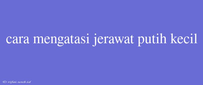 Cara Mengatasi Jerawat Putih Kecil