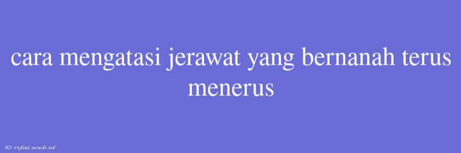 Cara Mengatasi Jerawat Yang Bernanah Terus Menerus