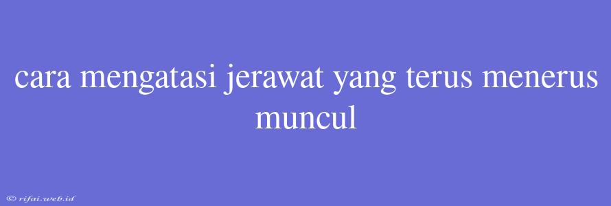 Cara Mengatasi Jerawat Yang Terus Menerus Muncul