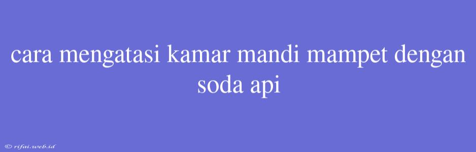 Cara Mengatasi Kamar Mandi Mampet Dengan Soda Api