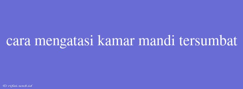 Cara Mengatasi Kamar Mandi Tersumbat