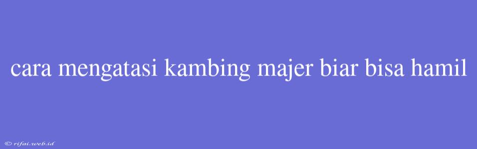 Cara Mengatasi Kambing Majer Biar Bisa Hamil