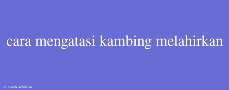 Cara Mengatasi Kambing Melahirkan