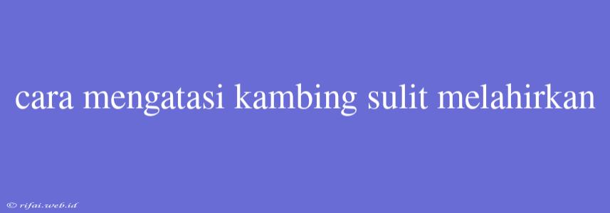 Cara Mengatasi Kambing Sulit Melahirkan