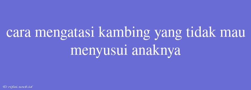 Cara Mengatasi Kambing Yang Tidak Mau Menyusui Anaknya