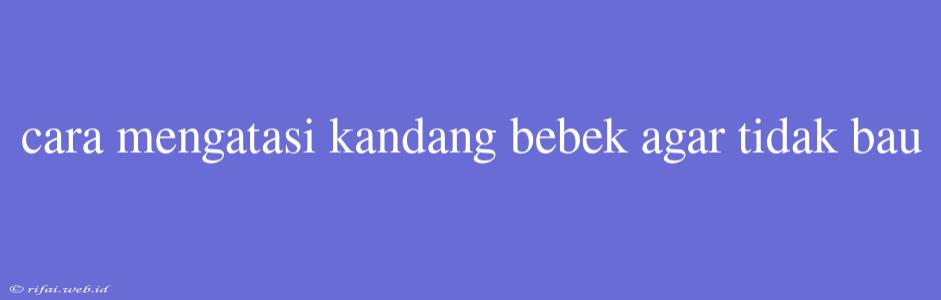 Cara Mengatasi Kandang Bebek Agar Tidak Bau