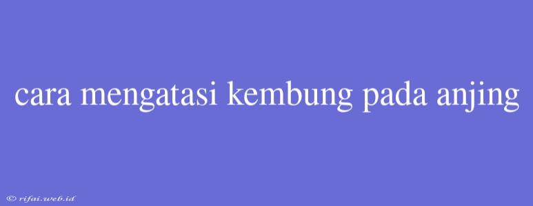 Cara Mengatasi Kembung Pada Anjing