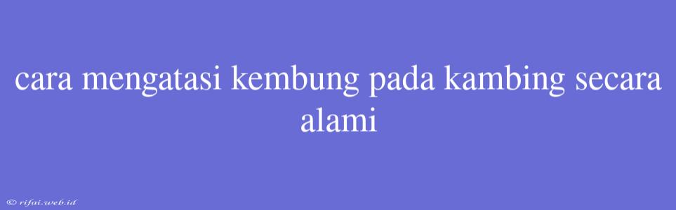 Cara Mengatasi Kembung Pada Kambing Secara Alami