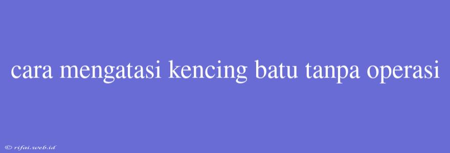 Cara Mengatasi Kencing Batu Tanpa Operasi