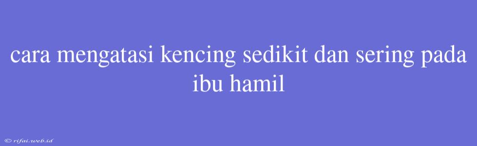 Cara Mengatasi Kencing Sedikit Dan Sering Pada Ibu Hamil