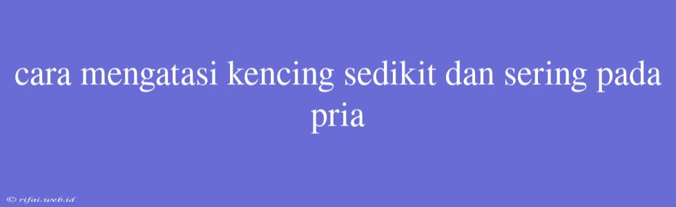 Cara Mengatasi Kencing Sedikit Dan Sering Pada Pria