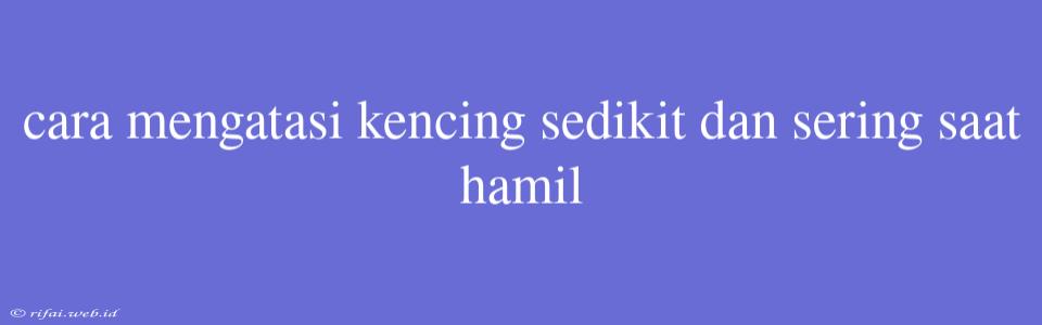 Cara Mengatasi Kencing Sedikit Dan Sering Saat Hamil