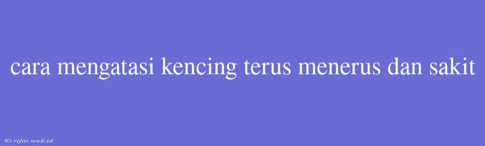 Cara Mengatasi Kencing Terus Menerus Dan Sakit