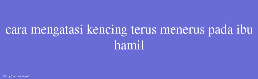 Cara Mengatasi Kencing Terus Menerus Pada Ibu Hamil