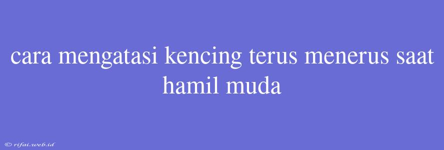 Cara Mengatasi Kencing Terus Menerus Saat Hamil Muda