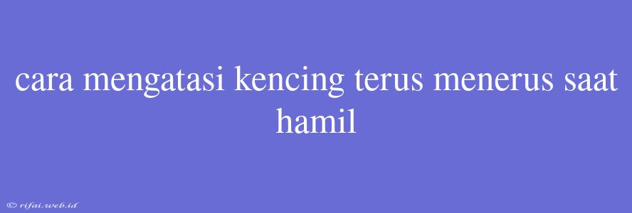 Cara Mengatasi Kencing Terus Menerus Saat Hamil