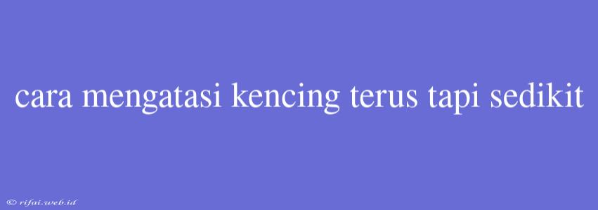 Cara Mengatasi Kencing Terus Tapi Sedikit