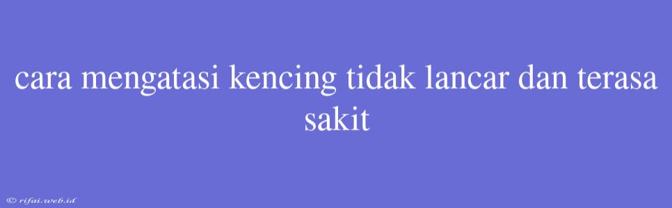 Cara Mengatasi Kencing Tidak Lancar Dan Terasa Sakit