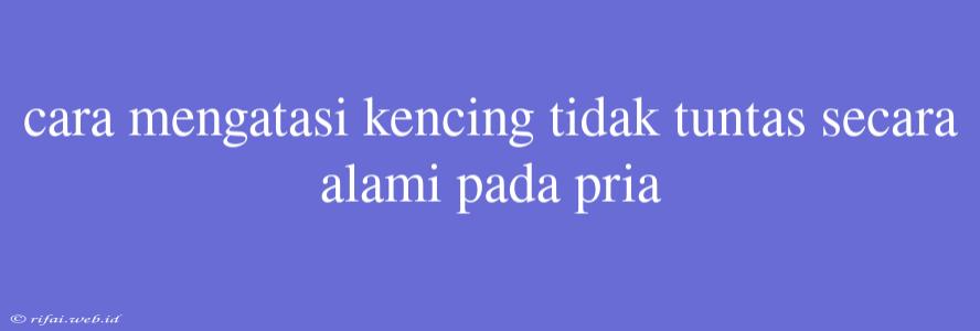 Cara Mengatasi Kencing Tidak Tuntas Secara Alami Pada Pria