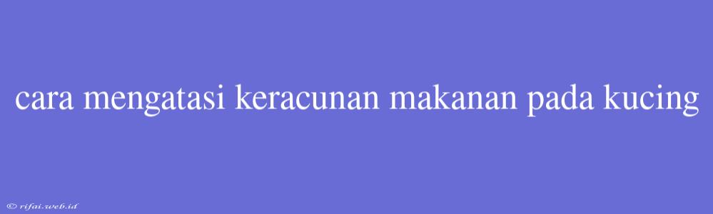 Cara Mengatasi Keracunan Makanan Pada Kucing