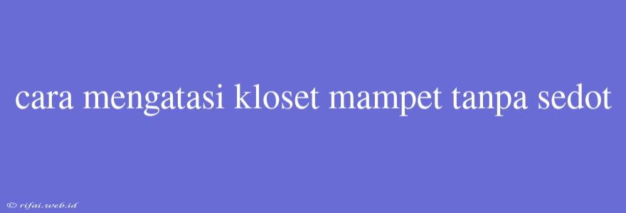 Cara Mengatasi Kloset Mampet Tanpa Sedot