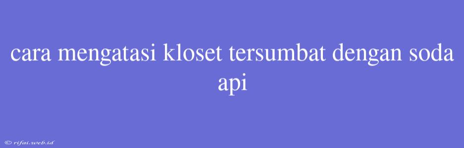 Cara Mengatasi Kloset Tersumbat Dengan Soda Api