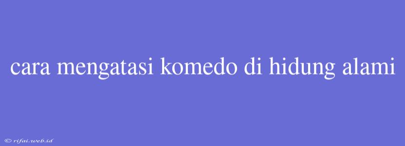 Cara Mengatasi Komedo Di Hidung Alami