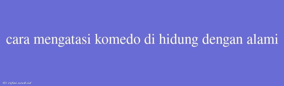 Cara Mengatasi Komedo Di Hidung Dengan Alami