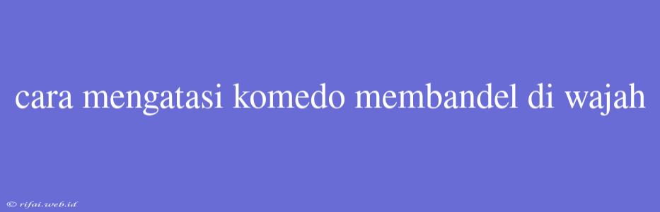 Cara Mengatasi Komedo Membandel Di Wajah