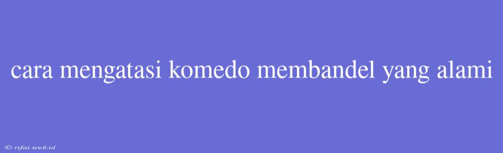 Cara Mengatasi Komedo Membandel Yang Alami