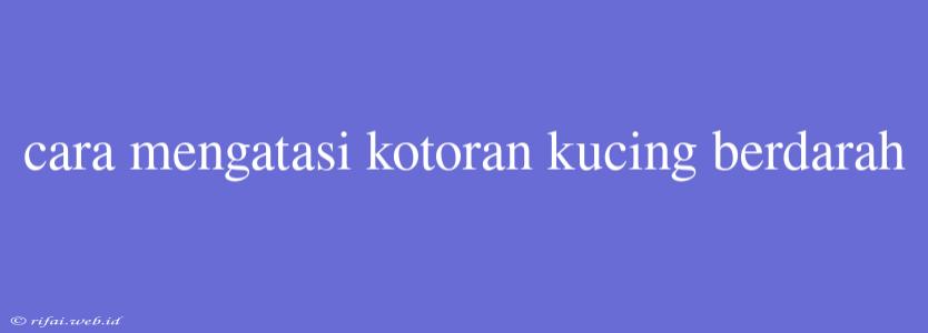 Cara Mengatasi Kotoran Kucing Berdarah